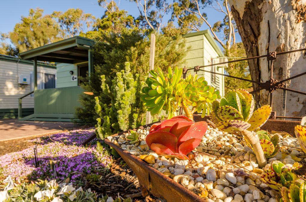 Hotel Lake Albert Caravan Park Meningie Exterior foto